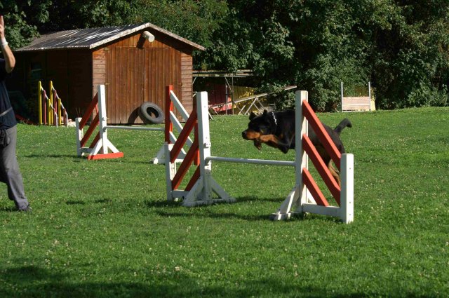 agility 2011-08